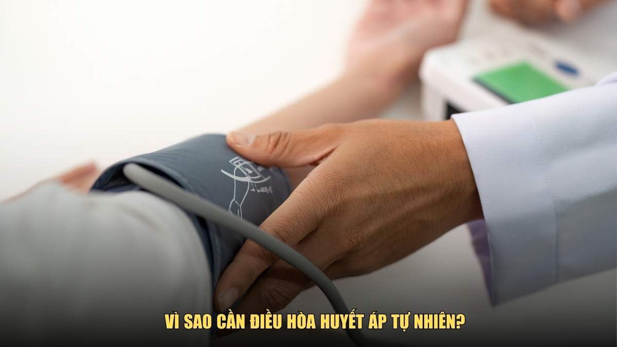 Vì sao cần điều hòa huyết áp tự nhiên?