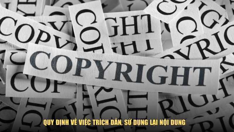 Quy định về việc trích dẫn, sử dụng lại nội dung