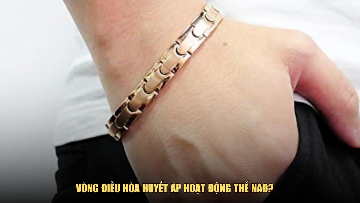 Vòng điều hòa huyết áp hoạt động thế nào? – Giải mã cơ chế khoa học