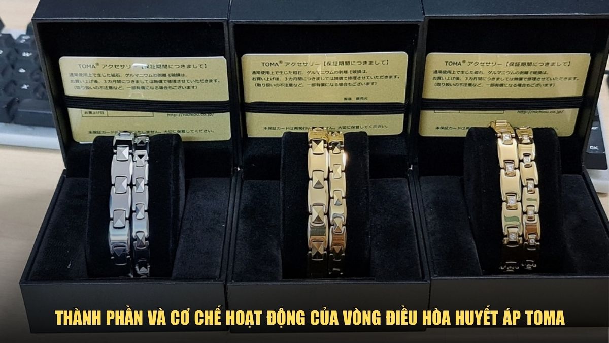 Thành phần và cơ chế hoạt động của vòng điều hòa huyết áp Toma