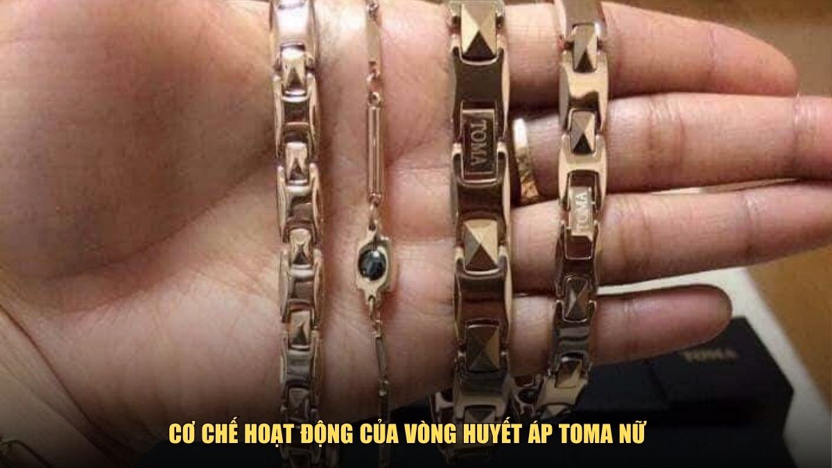 Cơ chế hoạt động của vòng huyết áp Toma nữ